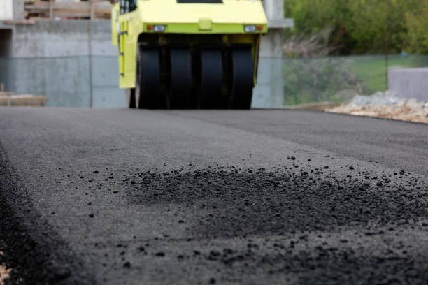 Best Driveway Pavers for Homes  in Steger, IL