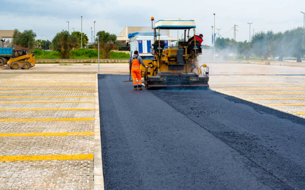 Best Custom Driveway Pavers  in Steger, IL